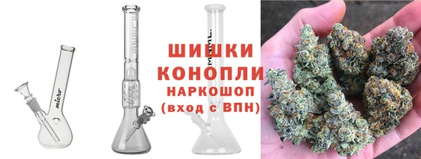 ГАЛЛЮЦИНОГЕННЫЕ ГРИБЫ Верхний Тагил