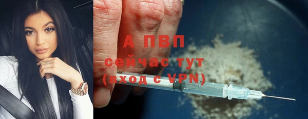 дживик Верея