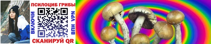 Галлюциногенные грибы Psilocybe  Купить закладки  Минеральные Воды 